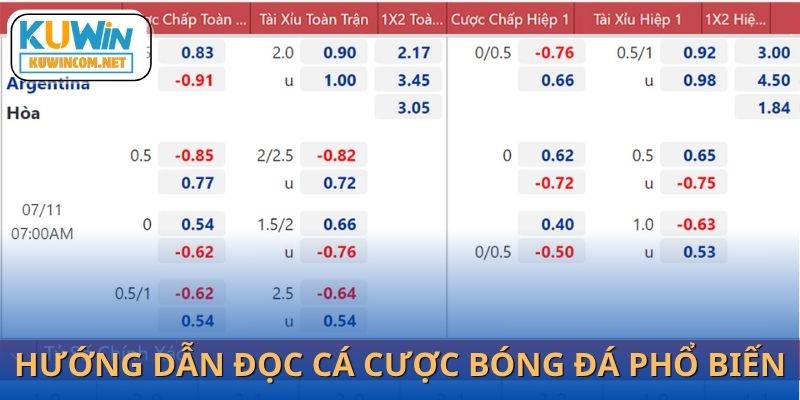 Nắm bắt chuẩn xác cách đọc kèo phổ biến