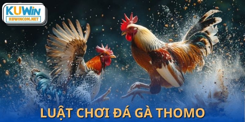 Hướng dẫn luật chơi chi tiết để cược đá gà