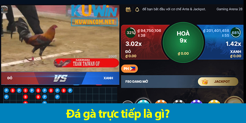 Các kinh nghiệm chơi đá gà trực tiếp luôn thắng độ cho bet thủ